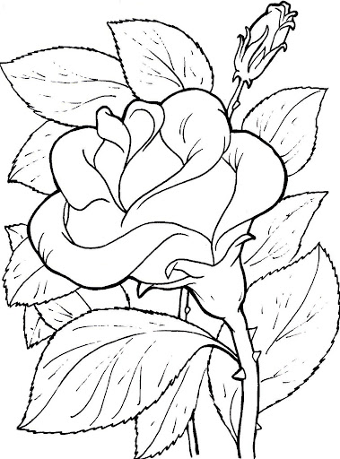 FLORES PARA COLOREAR